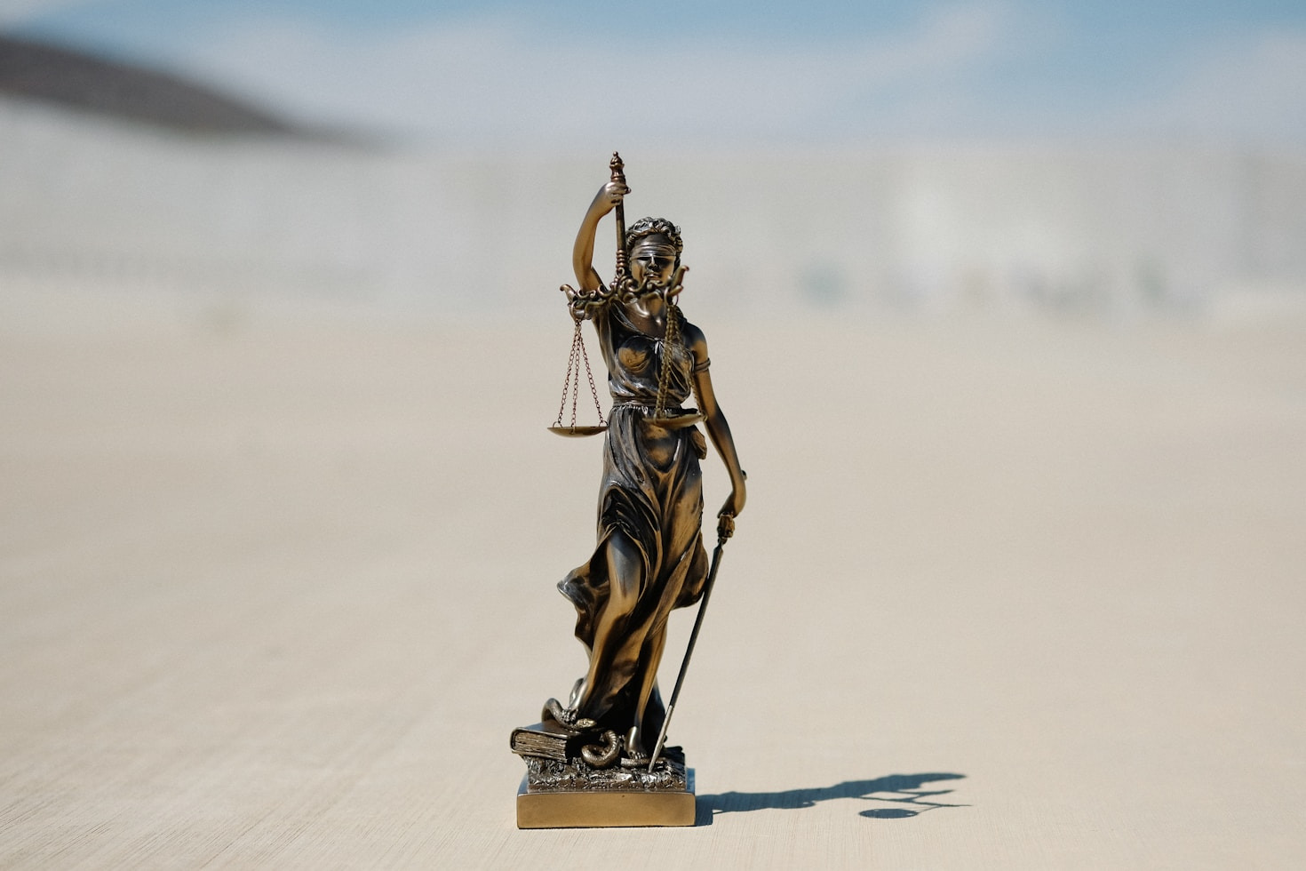 The Role of Youth in Legal Reforms